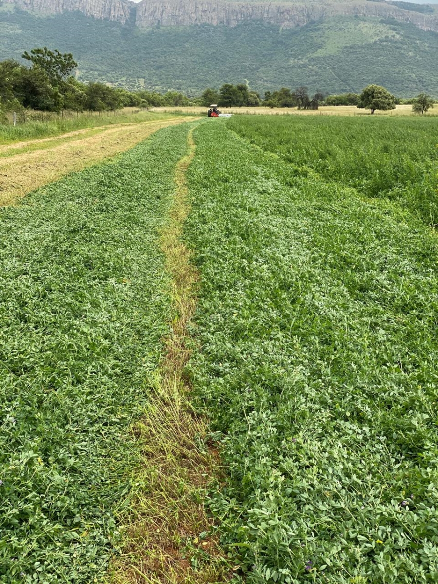 6 Bedroom Property for Sale in Remhoogte AH North West